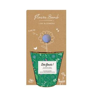 Kit de semis - Des fleurs - 1 bombe à graines - BIO